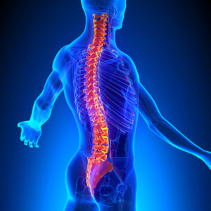 Spinal Cord Injury Lawyer Lake Charles, LA